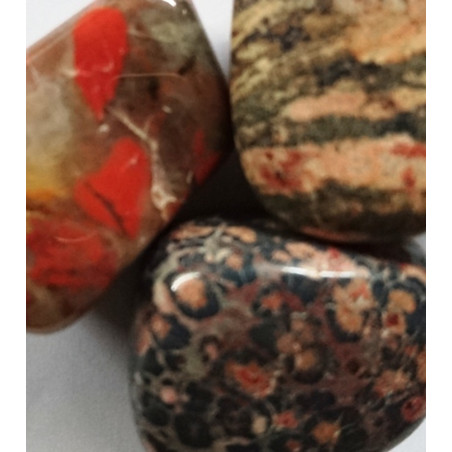 Kieselsteine Leopard Jaspis Medium 2,5cm bis 3,5cm