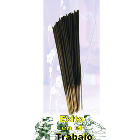 Spezielles Zweck Incense Erfolg bei der Arbeit in Bulk. 48 Stück.