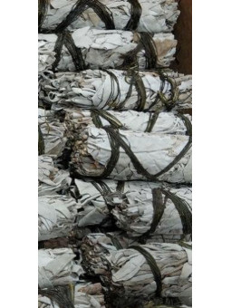 Bündel Kalifornischer Salbei, Weiß, Authentisch