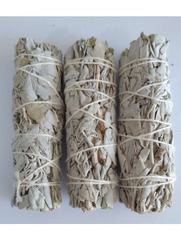 Palo Heiligeto und Weißer Salbei Bündel +-8cm. Reinigung und Schutz