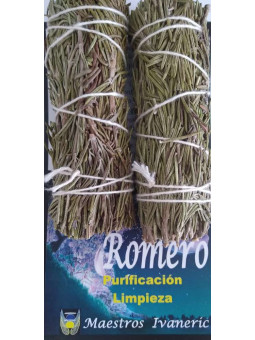 Bündel von echtem Rosmarin von ca. 10 bis 11 cm.