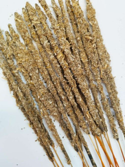 Lavendel, Weißer Salbei und Heiligedelholz-Stick. Einzeln erhältlich.