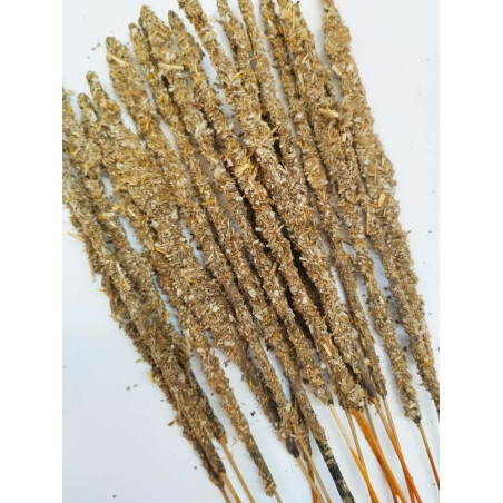 Lavendel, Weißer Salbei und Heiligedelholz-Stick. Einzeln erhältlich.