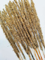 Lavendel, Weißer Salbei und Heiligedelholz-Stick. Einzeln erhältlich.