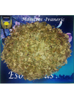 Esoterisches Kraut Birke 30 Gramm