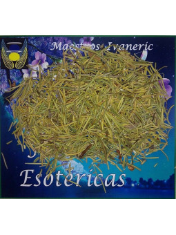 Esoterisches Kraut Rosmarin. 30 Gramm