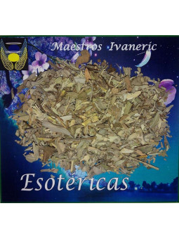 Esoterisches Kraut Salbei. 30 Gramm