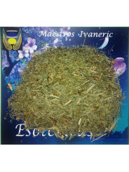 Esoterisches Kraut Schachtelhalm. 30 Gramm
