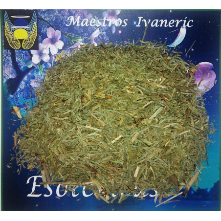 Esoterisches Kraut Schachtelhalm. 30 Gramm