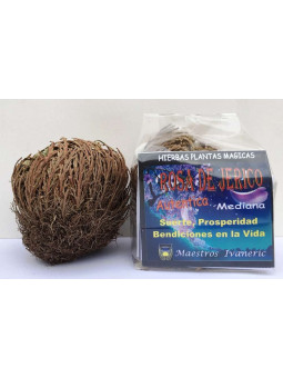 Medium Jerico Rose, Anweisungen und Gebet, +5 Einheiten 20% Rabatt