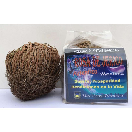 Medium Jerico Rose, Anweisungen und Gebet, +5 Einheiten 20% Rabatt