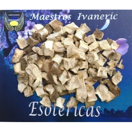 Esoterisches Kraut Zichorie 30 Gramm