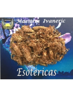 Esoterisches Kraut Pinienknospen 30 Gramm