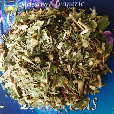 Esoterisches Kraut Goldrute (Solidago) 30 Gramm