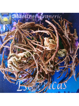 Esoterisches Kraut Rose Jerico. 14 bis 17 Gramm