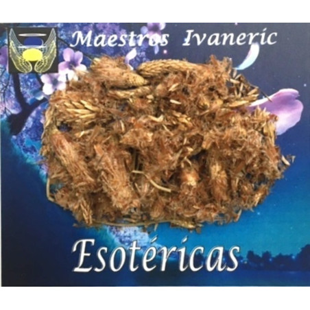 Esoterisches Kraut Pine Bud 10 Gramm