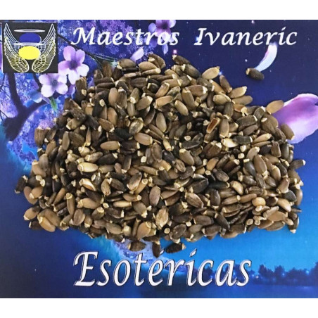 Esoterisches Kraut Mariendistel (Samen) 10 Gramm