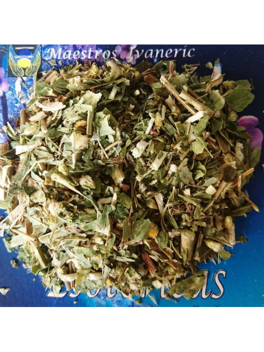Esoterisches Kraut Goldrute (Solidago) 10 Gramm