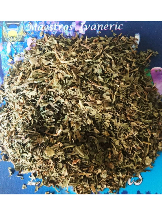 Esoterisches Kraut Pfefferminz 10 Gramm