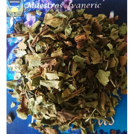 Esoterisches Kraut Lungenkraut 10 Gramm
