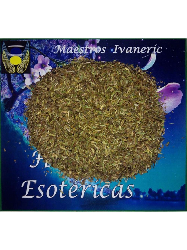 Esoterisches Kraut Thymian. 100 Gramm