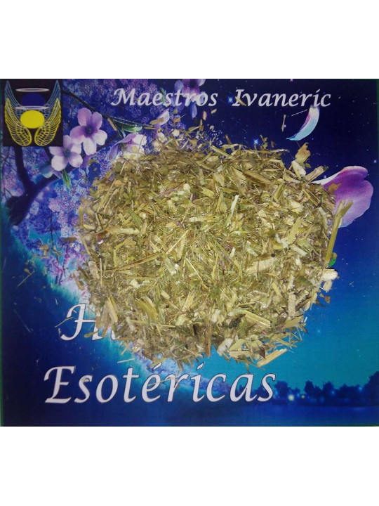 Esoterisches Kraut Heilige Distel. 100 Gramm