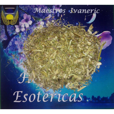 Esoterisches Kraut Heilige Distel. 100 Gramm