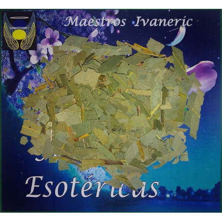 Esoterisches Kraut Eukalyptus. 100 Gramm