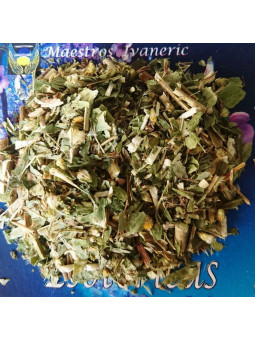 Esoterisches Kraut Goldrute (Solidago) 100 Gramm