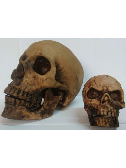 Großer Schädel aus Harz 15 x 20 cm