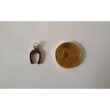Glückliches Hufeisen Amulettt