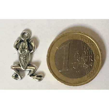 Glücksfrosch-Amulettt