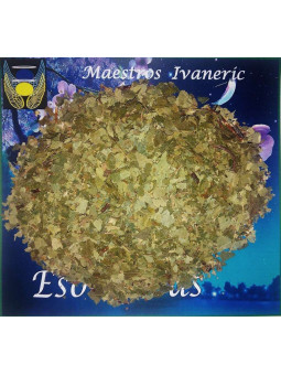 Esoterisches Kraut Birke 500 Gramm