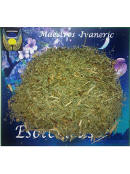 Esoterisches Kraut Schachtelhalm. 500 Gramm