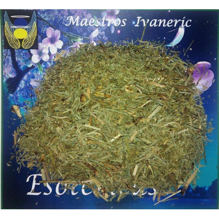 Esoterisches Kraut Schachtelhalm. 500 Gramm