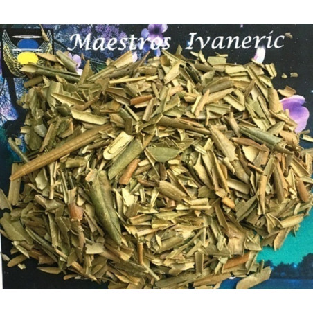 Esoterisch-Kräuter Olive zerkleinert 500 Gramm