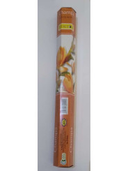 Sonderangebot! Champa Erbe. Kaufen Sie 8 Packungen mit 6 Stücke (48 Packungen zu 0,39)