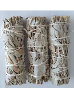 Kaufen Sie 25 Stücke Weißer Salbei Bündel von 11-13cm. aprox.