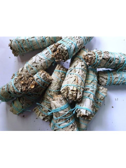 Packung 20 + 5 gratis. Bündel von Authentic White Sage 10-11cm. ca.