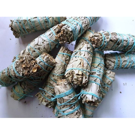 Packung 20 + 5 gratis. Bündel von Authentic White Sage 10-11cm. ca.