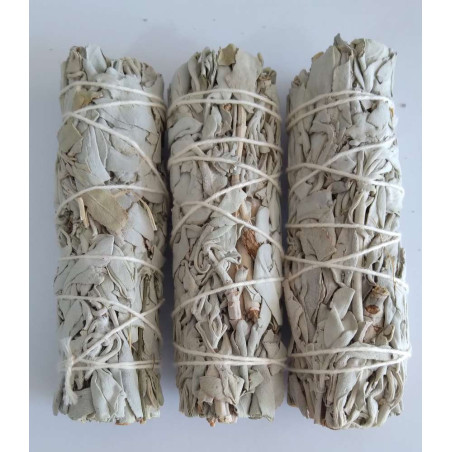Kauf von 25 Stücke Palo Santo und Weißer Salbei. 8cm. ca. Reinigung und Schutz