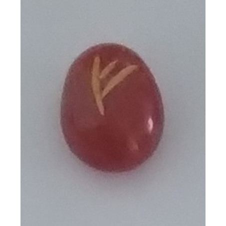 Amulette der Carneola-Fehu-Runen. Das Vieh.