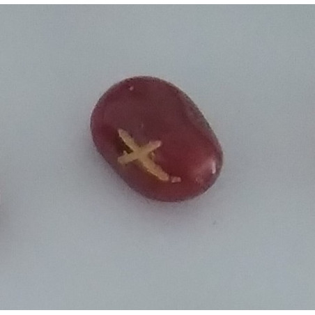 Amulette der Runen Carneola Gebo. Geschenk.