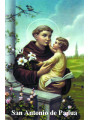 St. Antonius von Padua Plastifizierter Abdruck. 5x7,5cm