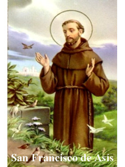 Heiliger Franz von Assisi Plastifizierter Abdruck. 5x7,5cm