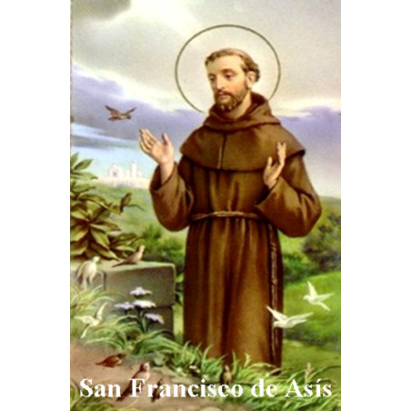 Heiliger Franz von Assisi Plastifizierter Abdruck. 5x7,5cm