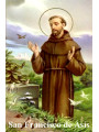 Heiliger Franz von Assisi Plastifizierter Abdruck. 5x7,5cm
