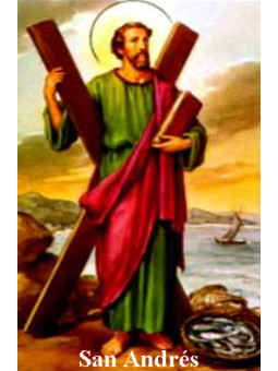 St. Andrew Plastifizierter Abdruck. 5x7,5cm