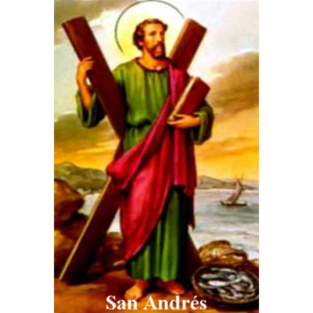 St. Andrew Plastifizierter Abdruck. 5x7,5cm