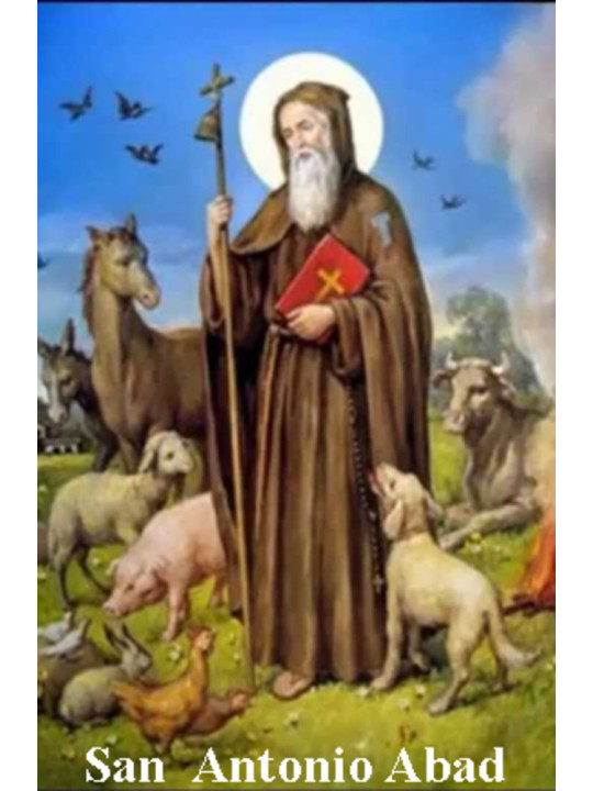St. Antonius Abt Plastifizierter Abdruck. 5x7,5cm